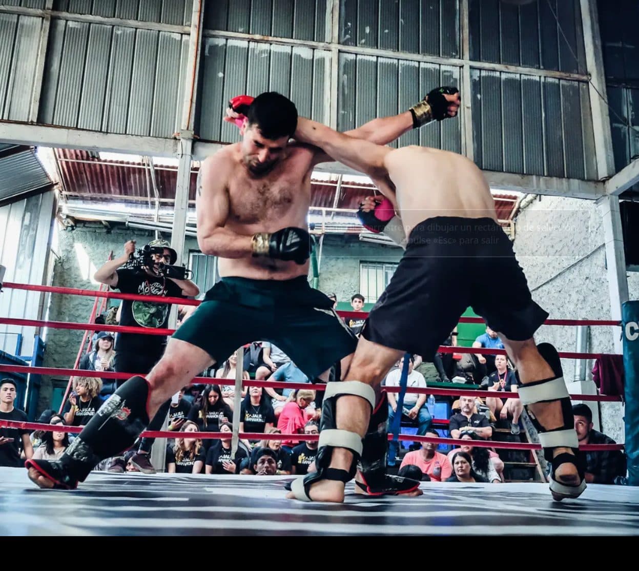 Clases de boxeo en Talca Club de Boxeo Milon